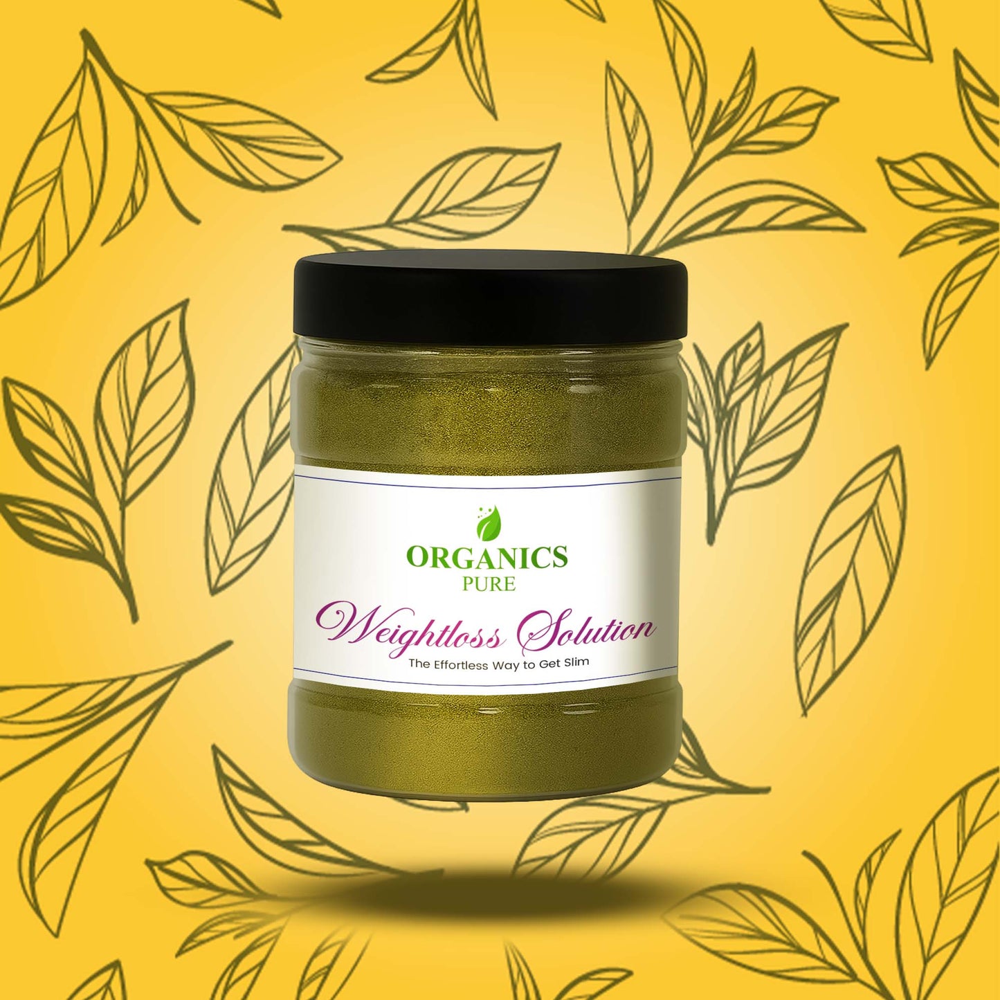 Weightloss Solution 3 Month Plan